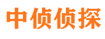 隆回市侦探公司